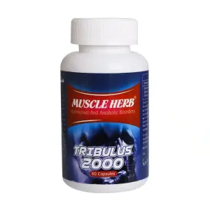 کپسول ماسل هرب تریبولس بهتا دارو 60 عدد