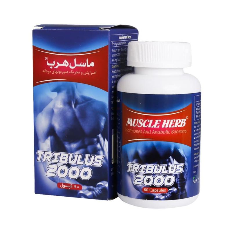 کپسول ماسل هرب تریبولس بهتا دارو 60 عدد - تصویر 2